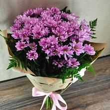 Букет цветов из:  Хризантемы #REPLACE_PRED# Псебае