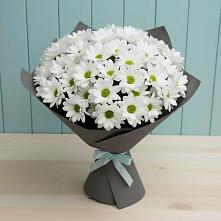 Букет цветов из:  Хризантемы #REPLACE_PRED# Псебае
