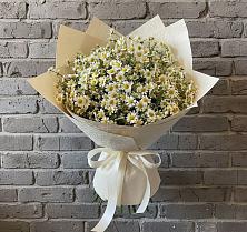 Букет цветов из:  Ромашки #REPLACE_PRED# Псебае