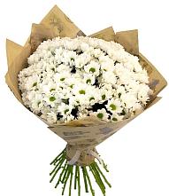 Букет цветов из:  Хризантемы #REPLACE_PRED# Псебае