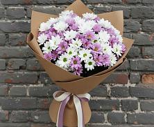 Букет цветов из:  Хризантемы #REPLACE_PRED# Псебае