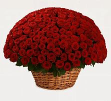 Премиум букет из: Розы в Псебае